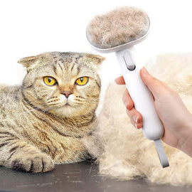 Katthårrengöringsborste